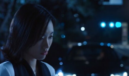 卧底警花电视剧,潜入黑暗，守护光明