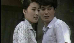 90年代电视剧大全,90年代电视剧大全回顾